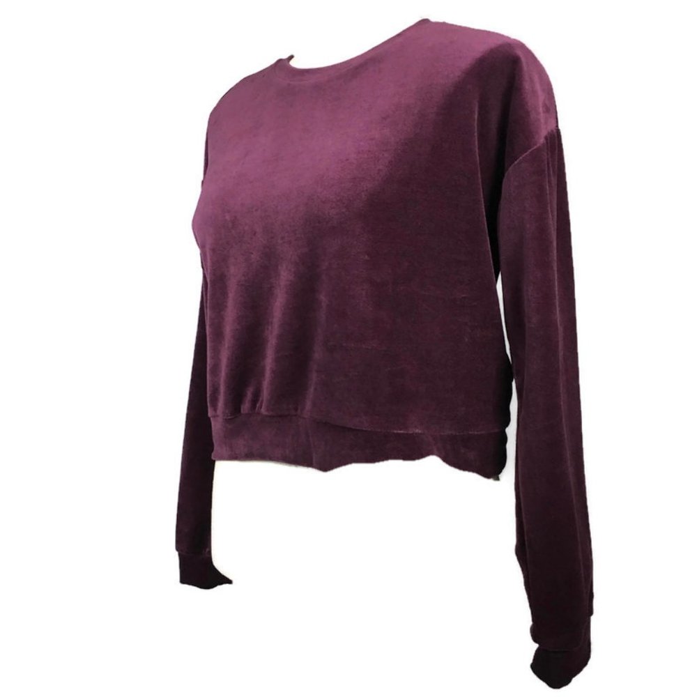 🌺3/$15🌺NWT Aubergine Stretch Velvet Sweater.